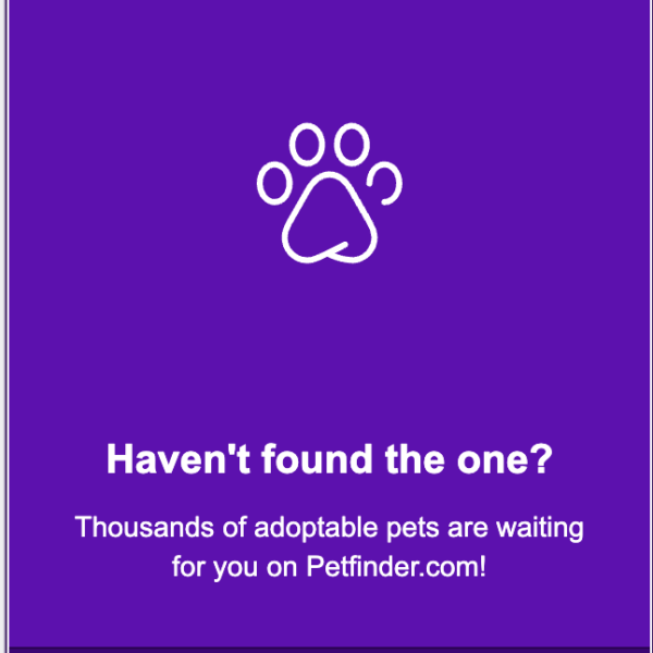 Pet Finder